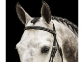 Bridle  New Pro   flash noseband - rubber grip reins - ss buckles - - ss buckles