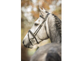 Bridle  New Pro   flash noseband - rubber grip reins - ss buckles - - ss buckles