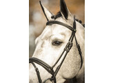 Bridle  New Pro   flash noseband - rubber grip reins - ss buckles - - ss buckles