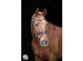 Bridon SERRENTO cuir rond - FS chocolate