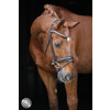 Bridon SERRENTO cuir rond - FS chocolate