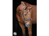 Bridon SERRENTO cuir rond - FS chocolate