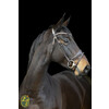 Bridon ROSADO muserolle dressage - boucles rose gold - FS choco