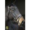 Bridon ROSADO muserolle dressage - boucles rose gold - FS choco