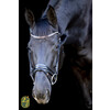 Bridon ROSADO muserolle dressage - boucles rose gold - FS choco