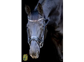 Bridon ROSADO muserolle dressage - boucles rose gold - FS choco