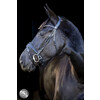 Pro Selected Hoofdstel Sunline Black - aansnoerneusriem met lak - CS zwart