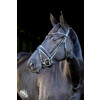 Pro Selected Hoofdstel Sunline Black - aansnoerneusriem met lak - CS zwart