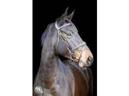 Pro Selected Bridon Heritage - muserolle combinee
