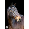 Pro Selected Bridon Heritage - muserolle combinee - CS australian nut