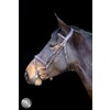 Pro Selected Bridon Heritage - muserolle combinee - CS australian nut