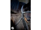 Pro Selected Bridon Heritage - muserolle combinee - CS australian nut