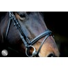 Pro Selected Bridon Heritage - muserolle combinee - CS australian nut