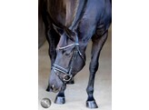 Pro Selected Hoofdstel Sunline Silver - aansnoerneusriem met lak - FS zwart
