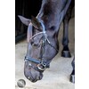 Pro Selected Hoofdstel Sunline Black - aansnoerneusriem met lak - CS zwart