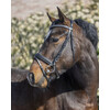 Bridon  Diamond  muserolle combinee renes gripp - Shetland noisette