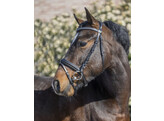 Bridon  Diamond  muserolle combinee renes gripp - Shetland noisette