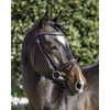Bridon  Diamond  muserolle combinee renes gripp - Shetland noisette