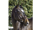 Bridon  Diamond  muserolle combinee renes gripp - Shetland noisette