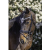 Hoofdstel ROCKY - Mini Shetland zwart-wit
