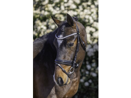 Bridle ROCKY dressage noseband with patent leather