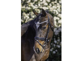Hoofdstel ROCKY - Mini Shetland zwart-wit