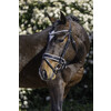 Hoofdstel ROCKY - Mini Shetland zwart-wit