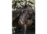 Hoofdstel ROCKY - Mini Shetland zwart-wit
