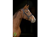 Bridle TRESS flash noseband - CS nut brown