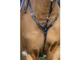 Pro Selected Heritage Martingale