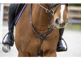 Pro Selected Heritage Jachtmartingaal